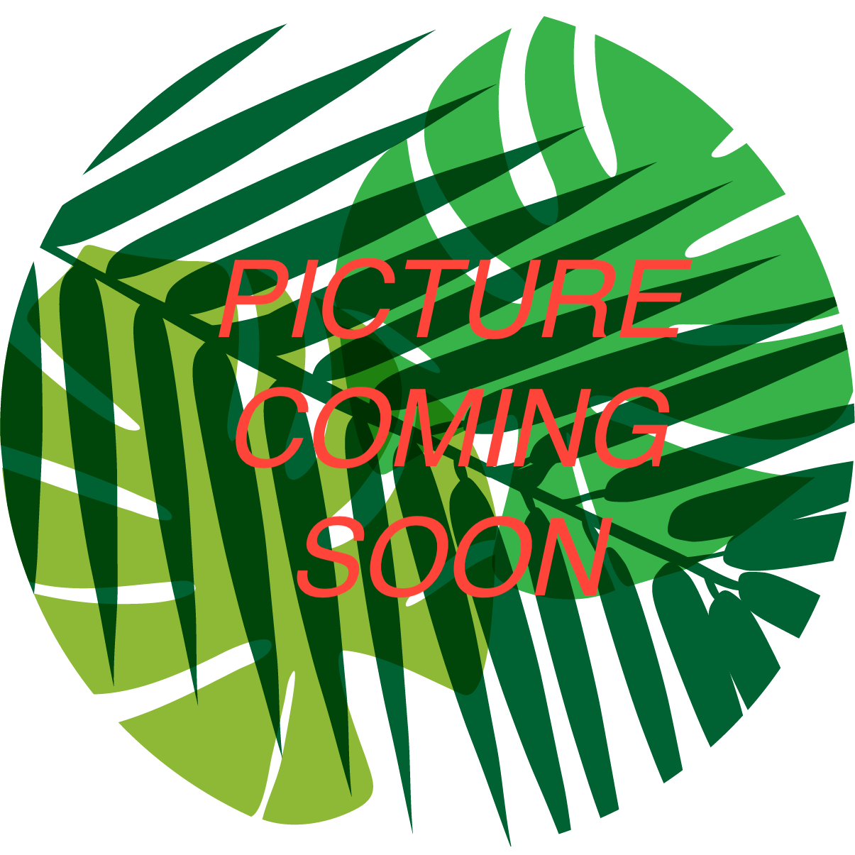 Brugmansia Sanguinea Hot Red